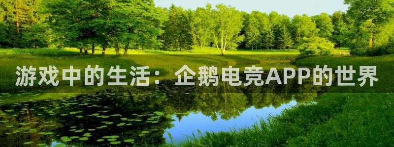 乐竞电竞比分：游戏中的生活：企鹅电竞APP的世界