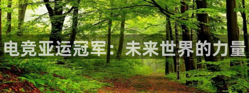 乐竞电竞类似：电竞亚运冠军：未来世界的力