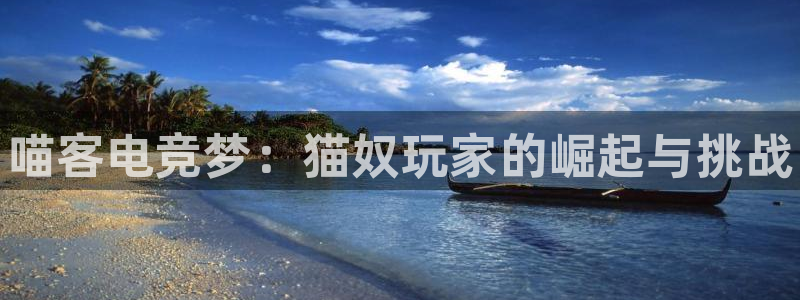 乐竞电竞官网平台老手必备的电子画册：喵客