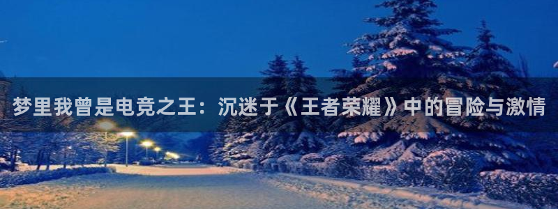 乐竞电竞app下载：梦里我曾是电竞之王：