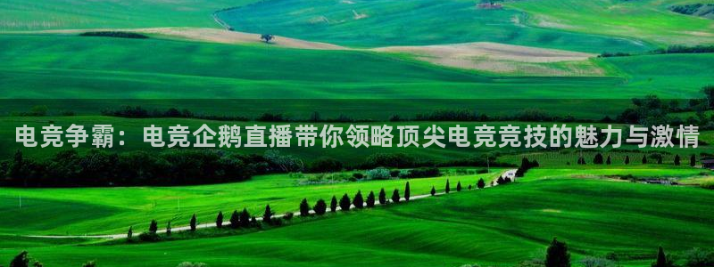 乐竞电竞app|平台下载：电竞争霸：电竞