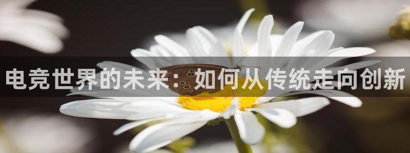 乐竞电竞会员日：电竞世界的未来：如何从传