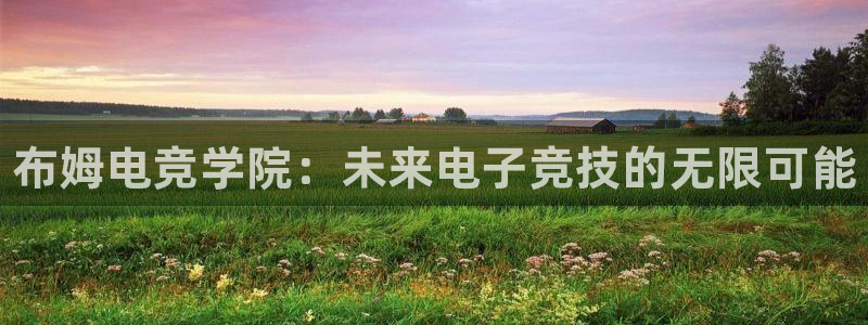 乐竞电竞竞猜app下载：布姆电竞学院：未