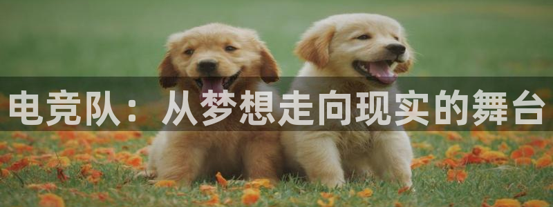 乐竞电竞超玩家包宿多少钱：电竞队：从梦想